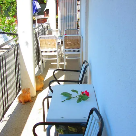 Studio In Pula/istrien 11383 Apartment Veruda
